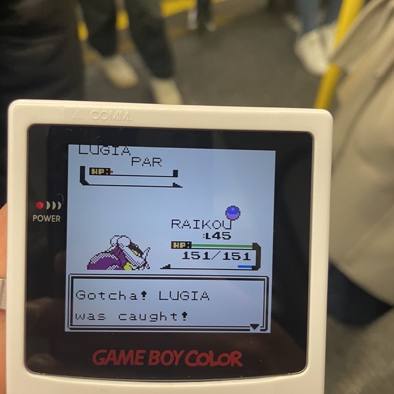 Catching Lugia with a great ball on the London Tube ride back home.